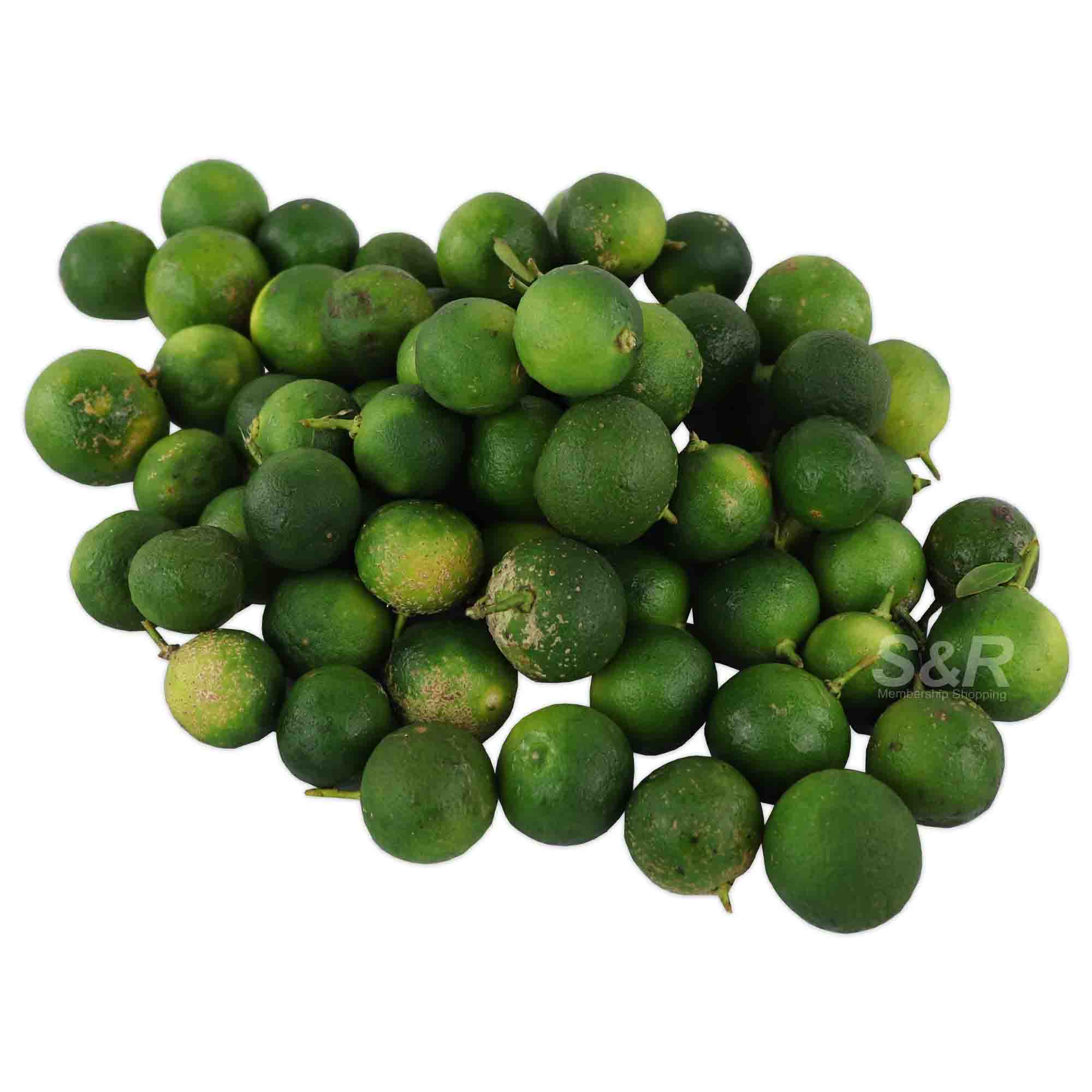 S&R Large Calamansi approx. 1.2kg S&R Large Calamansi approx. 1.2kg